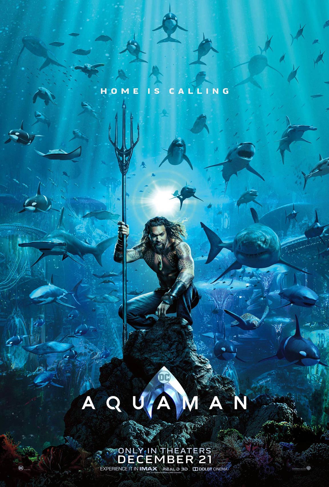 Movie 15